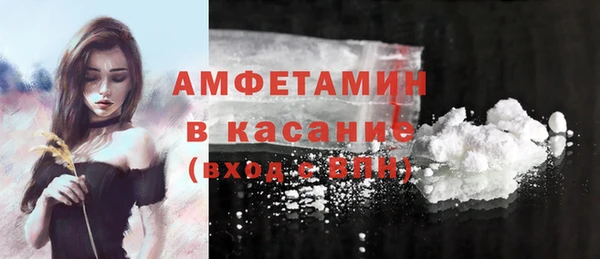 мдпв Елабуга