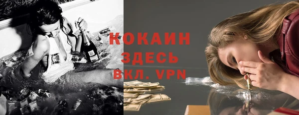 винт Елизово