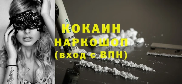 мдпв Елабуга