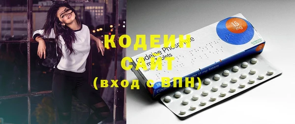мдпв Елабуга