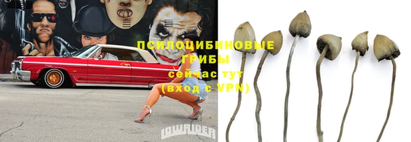 мдпв Елабуга