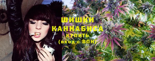 меф Ельня