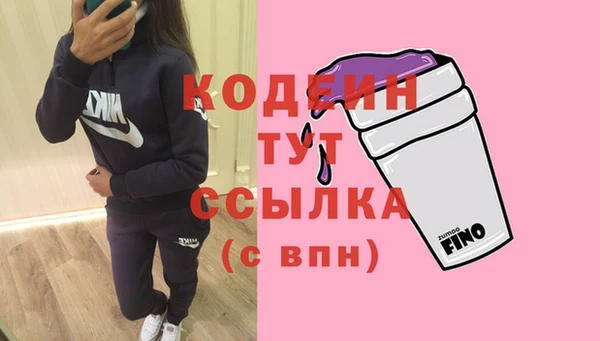 мдпв Елабуга