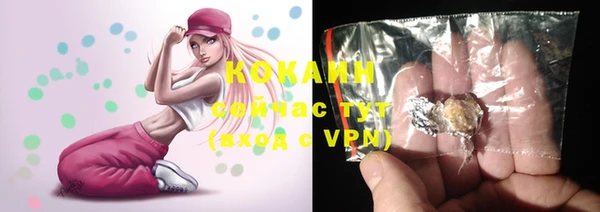 мдпв Елабуга