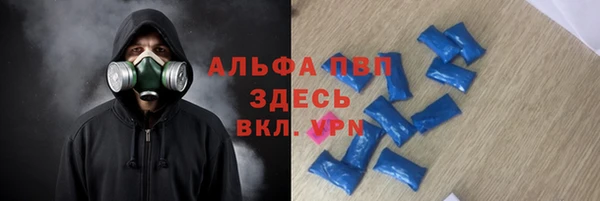 меф Ельня
