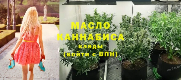 меф Ельня