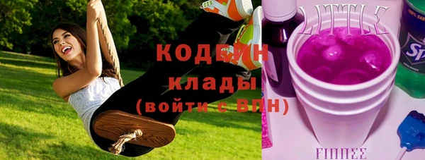 меф Ельня