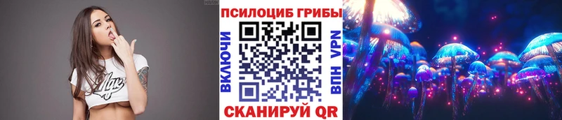 Купить закладки  Полысаево  Галлюциногенные грибы Magic Shrooms 